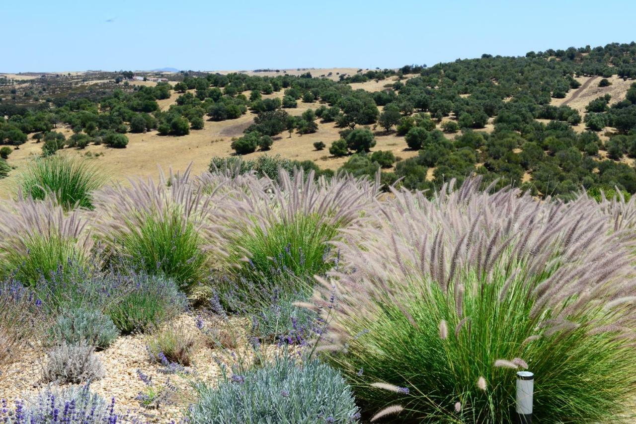 Vistas - Herdade Do Zambujal Castro Verde Exteriér fotografie